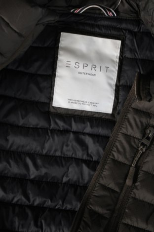 Herrenjacke Esprit, Größe M, Farbe Grün, Preis € 57,49