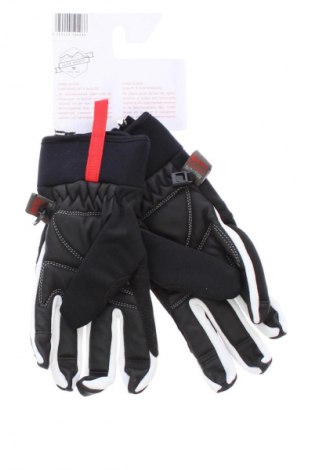 Handschuhe Chiba, Farbe Schwarz, Preis € 11,99