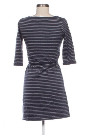 Kleid Armedangels, Größe XS, Farbe Blau, Preis € 57,49