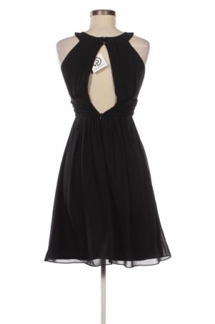 Kleid Damiani, Größe XXS, Farbe Schwarz, Preis € 18,99