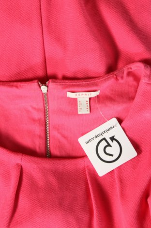 Kleid Esprit, Größe M, Farbe Rosa, Preis € 25,00