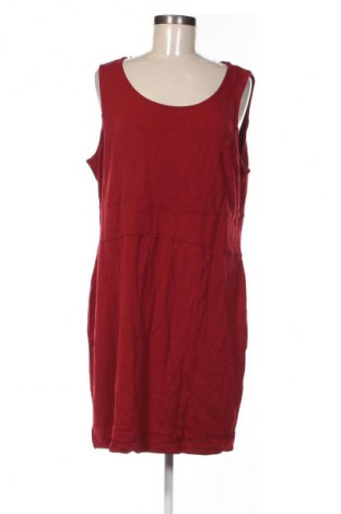 Kleid Miss Etam, Größe L, Farbe Rot, Preis 6,99 €