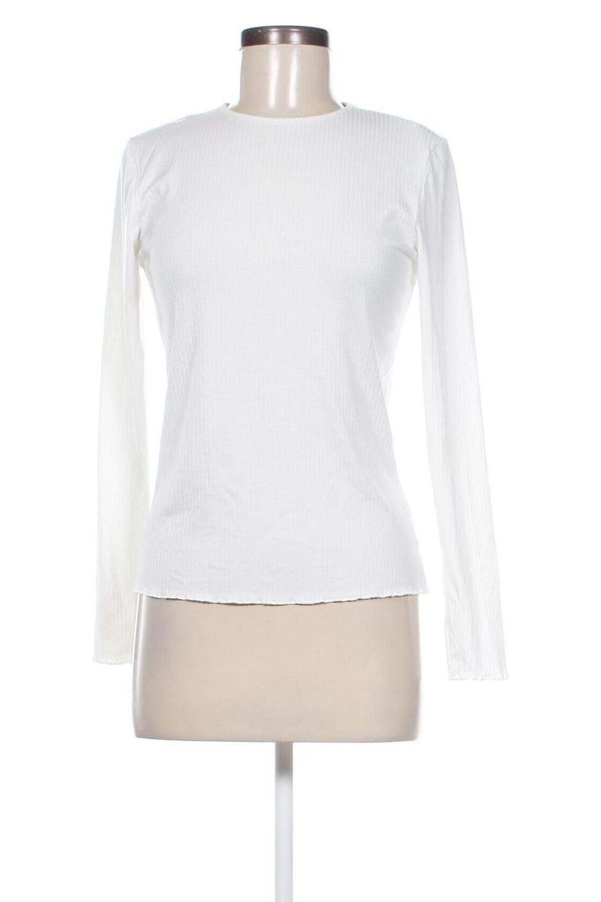 Damen Shirt Esmara, Größe S, Farbe Weiß, Preis 13,49 €