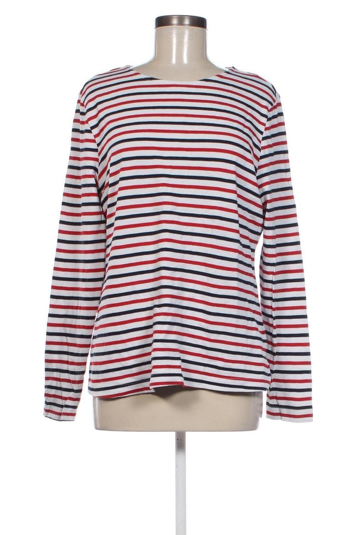 Damen Shirt Essentials, Größe L, Farbe Mehrfarbig, Preis € 13,49