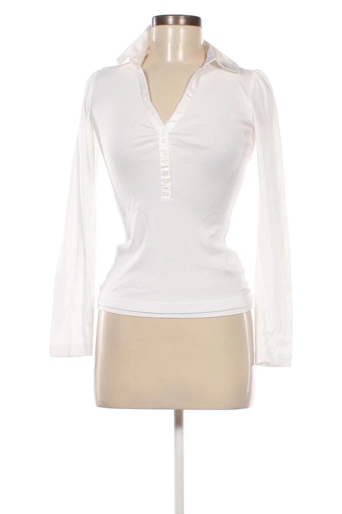 Damen Shirt Mexx, Größe M, Farbe Weiß, Preis € 11,99