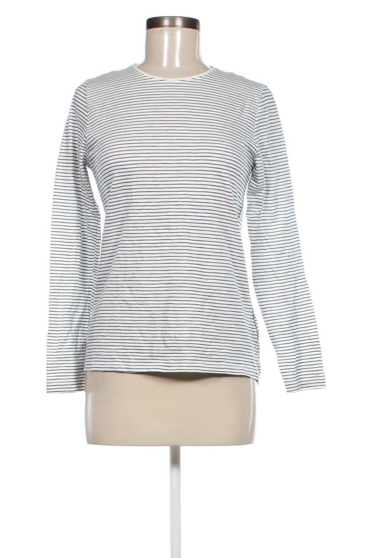 Damen Shirt Staccato, Größe L, Farbe Mehrfarbig, Preis € 8,99