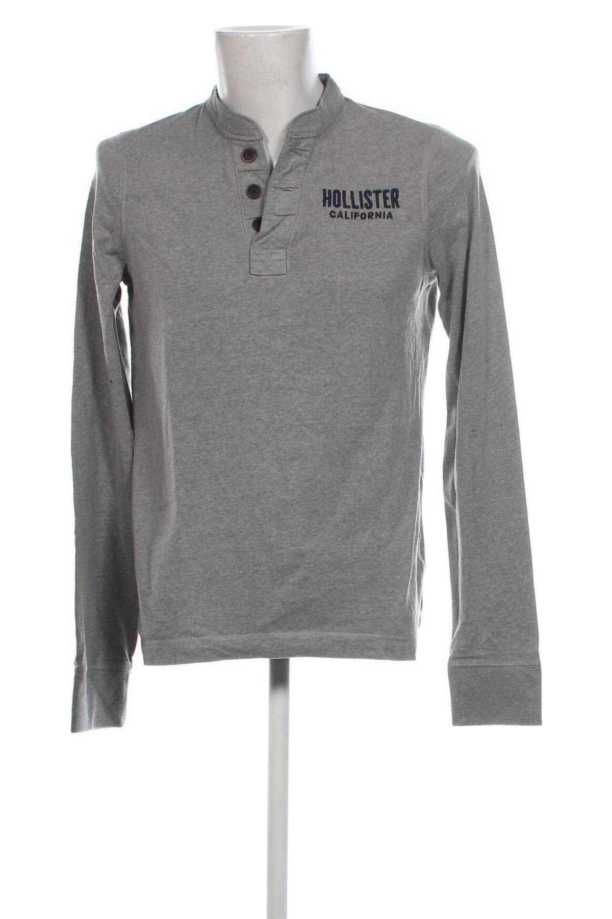 Herren Shirt Hollister, Größe L, Farbe Grau, Preis € 10,99