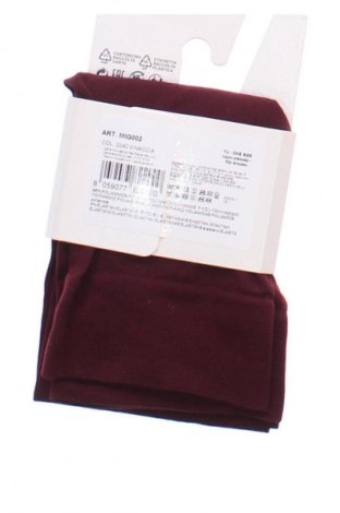 Socken Calzedonia, Größe M, Farbe Rot, Preis 8,00 €