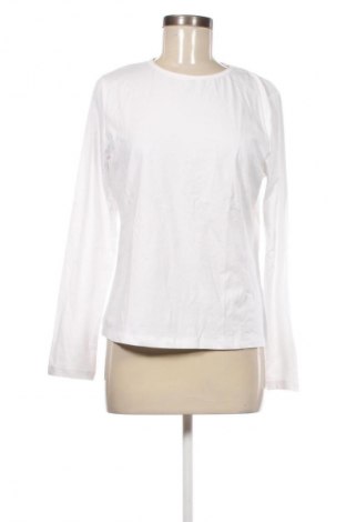 Damen Shirt About You, Größe XL, Farbe Weiß, Preis 30,99 €