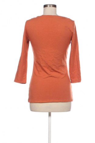 Bluzka damska Amazon Essentials, Rozmiar XS, Kolor Pomarańczowy, Cena 43,68 zł