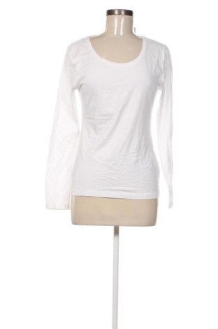 Damen Shirt Blue Motion, Größe M, Farbe Weiß, Preis 6,99 €