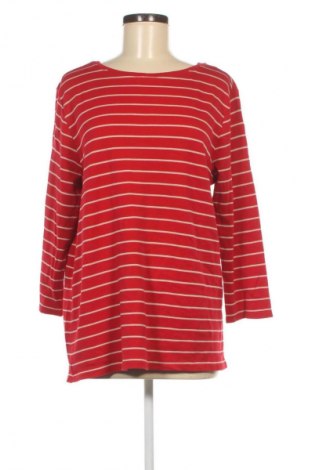 Bluzka damska Cecil, Rozmiar XXL, Kolor Kolorowy, Cena 76,99 zł