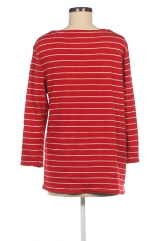 Bluzka damska Cecil, Rozmiar XXL, Kolor Kolorowy, Cena 76,99 zł