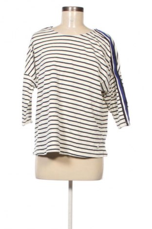 Dámská halenka Essentials by Tchibo, Velikost XL, Barva Vícebarevné, Cena  209,00 Kč