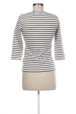 Γυναικεία μπλούζα Jake*s, Μέγεθος XXS, Χρώμα Πολύχρωμο, Τιμή 38,99 €