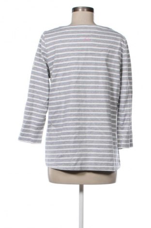 Γυναικεία μπλούζα Joules, Μέγεθος XL, Χρώμα Πολύχρωμο, Τιμή 24,48 €