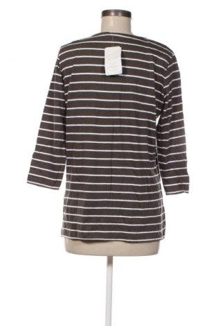 Dámska blúza Laura Torelli, Veľkosť L, Farba Viacfarebná, Cena  12,95 €