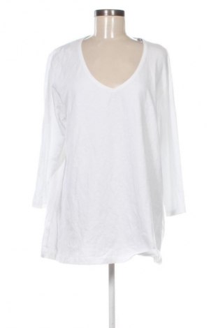 Női blúz Line Plus, Méret 3XL, Szín Fehér, Ár 3 379 Ft