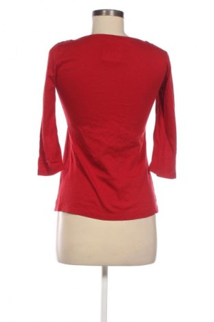 Damen Shirt Loft By Ann Taylor, Größe XS, Farbe Rot, Preis € 24,55