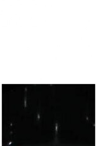 Γυναικεία μπλούζα Monari, Μέγεθος L, Χρώμα Πολύχρωμο, Τιμή 24,55 €