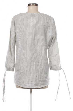 Dámska blúza Montego, Veľkosť L, Farba Viacfarebná, Cena  6,95 €