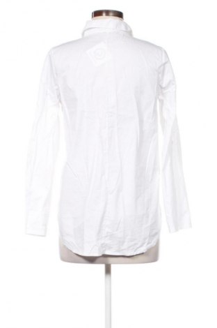 Bluzka damska NEW COLLECTION, Rozmiar M, Kolor Biały, Cena 78,16 zł