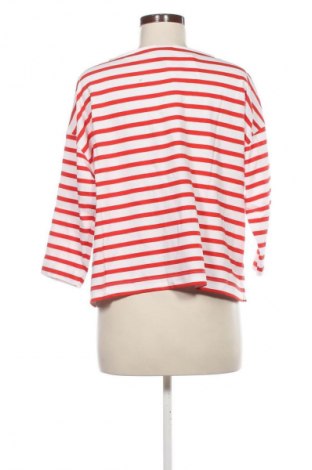 Bluză de femei NORDIC, Mărime L, Culoare Multicolor, Preț 65,99 Lei