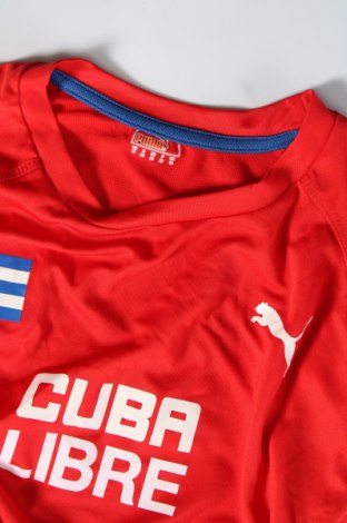 Γυναικεία μπλούζα PUMA, Μέγεθος M, Χρώμα Κόκκινο, Τιμή 16,99 €