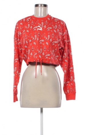 Damen Shirt PUMA, Größe XS, Farbe Mehrfarbig, Preis 55,24 €