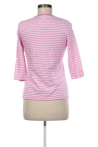 Dámská halenka Paola, Velikost M, Barva Vícebarevné, Cena  119,00 Kč