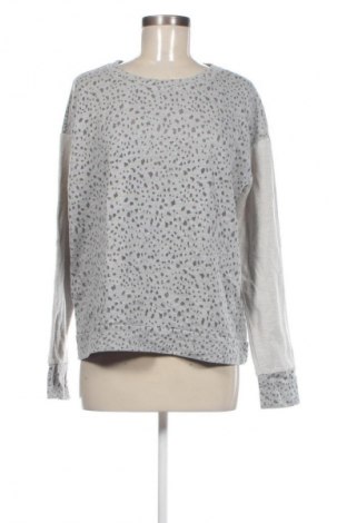 Γυναικεία μπλούζα Peckott, Μέγεθος L, Χρώμα Πολύχρωμο, Τιμή 5,99 €