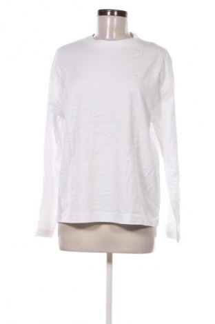 Damen Shirt Pull&Bear, Größe M, Farbe Weiß, Preis 7,99 €