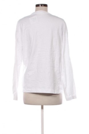 Damen Shirt Pull&Bear, Größe M, Farbe Weiß, Preis 7,99 €