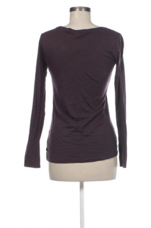 Damen Shirt Q/S by S.Oliver, Größe S, Farbe Lila, Preis 6,99 €