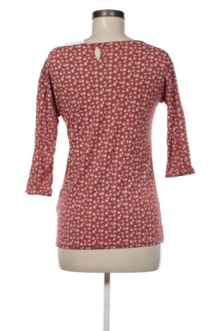 Γυναικεία μπλούζα S.Oliver, Μέγεθος S, Χρώμα Πολύχρωμο, Τιμή 7,99 €