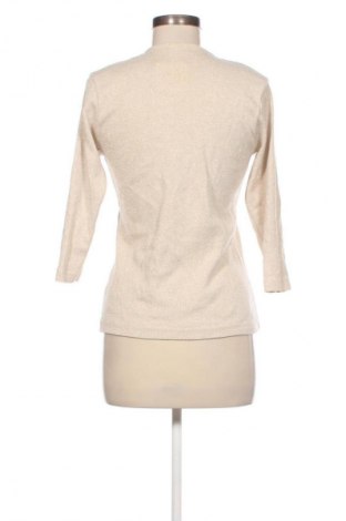 Damen Shirt Sasson, Größe M, Farbe Mehrfarbig, Preis 9,72 €