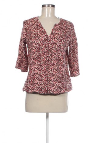 Γυναικεία μπλούζα Stooker, Μέγεθος S, Χρώμα Πολύχρωμο, Τιμή 5,99 €