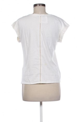 Γυναικεία μπλούζα Terranova, Μέγεθος S, Χρώμα Πολύχρωμο, Τιμή 10,00 €