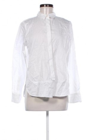 Γυναικεία μπλούζα Tom Tailor, Μέγεθος M, Χρώμα Λευκό, Τιμή 8,99 €