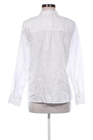 Γυναικεία μπλούζα Tom Tailor, Μέγεθος M, Χρώμα Λευκό, Τιμή 8,99 €