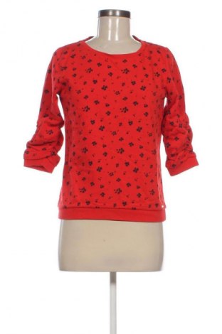 Damen Shirt Tom Tailor, Größe S, Farbe Mehrfarbig, Preis € 7,99