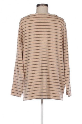 Damen Shirt Tom Tailor, Größe XXL, Farbe Mehrfarbig, Preis 23,99 €