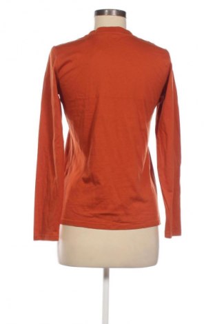 Γυναικεία μπλούζα Unbranded, Μέγεθος S, Χρώμα Καφέ, Τιμή 10,64 €