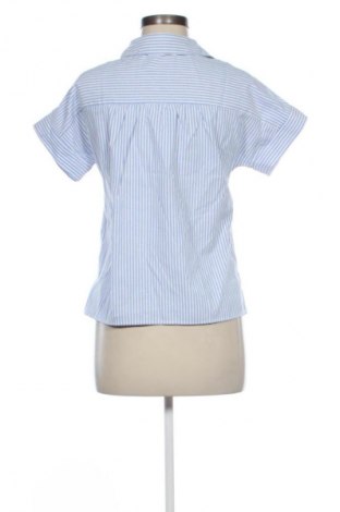 Damen Shirt Unbranded, Größe XS, Farbe Mehrfarbig, Preis 10,00 €