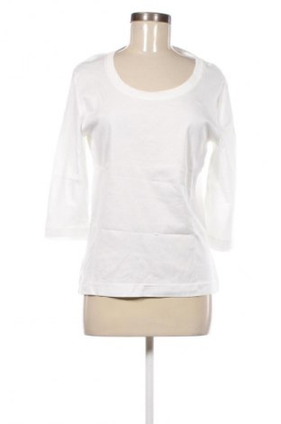 Dámska blúza Wolff, Veľkosť XL, Farba Biela, Cena  6,95 €