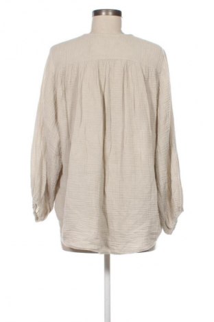 Γυναικεία μπλούζα Zara, Μέγεθος S, Χρώμα  Μπέζ, Τιμή 13,99 €