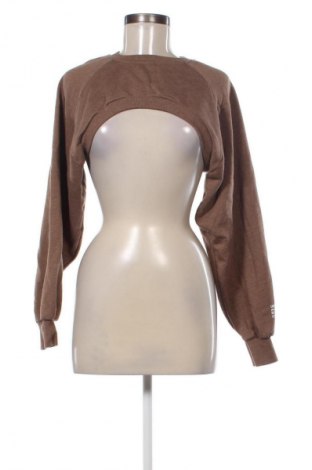 Damen Shirt Zara, Größe S, Farbe Braun, Preis 13,81 €