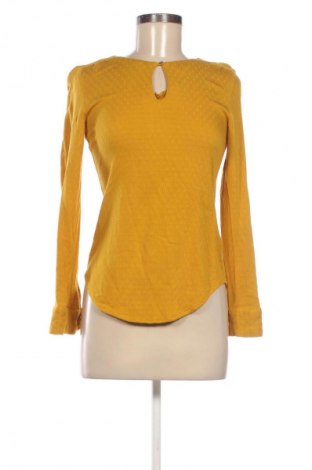 Bluzka damska Zero, Rozmiar S, Kolor Pomarańczowy, Cena 78,16 zł