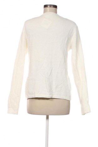 Damen Strickjacke Blue Motion, Größe S, Farbe Ecru, Preis € 9,99