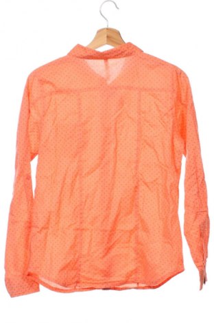 Damenbluse Blancheporte, Größe XS, Farbe Mehrfarbig, Preis 12,77 €